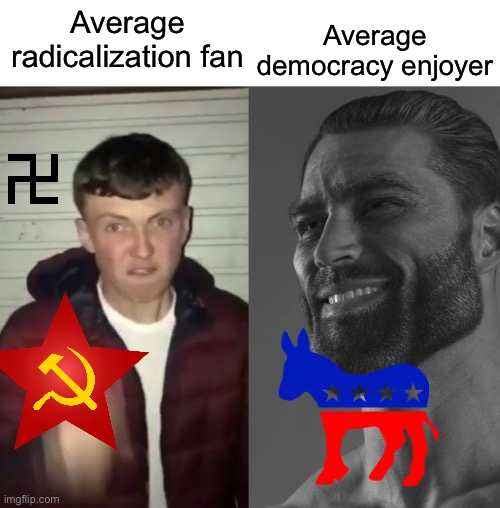 Average Fan vs Average Enjoyer | Average democracy enjoyer; Average radicalization fan | image tagged in average fan vs average enjoyer | made w/ Imgflip meme maker