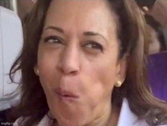 Kamala Harris | image tagged in kamala harris | made w/ Imgflip meme maker