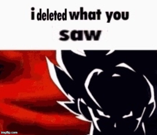 I deleted what you saw | image tagged in i deleted what you saw | made w/ Imgflip meme maker