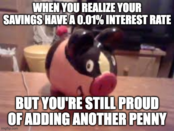 Tepig piggy bank (not mine lol) | WHEN YOU REALIZE YOUR SAVINGS HAVE A 0.01% INTEREST RATE; BUT YOU'RE STILL PROUD OF ADDING ANOTHER PENNY | image tagged in tepig piggy bank not mine lol | made w/ Imgflip meme maker