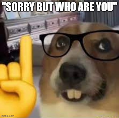 nerd dog | "SORRY BUT WHO ARE YOU" | image tagged in nerd dog | made w/ Imgflip meme maker