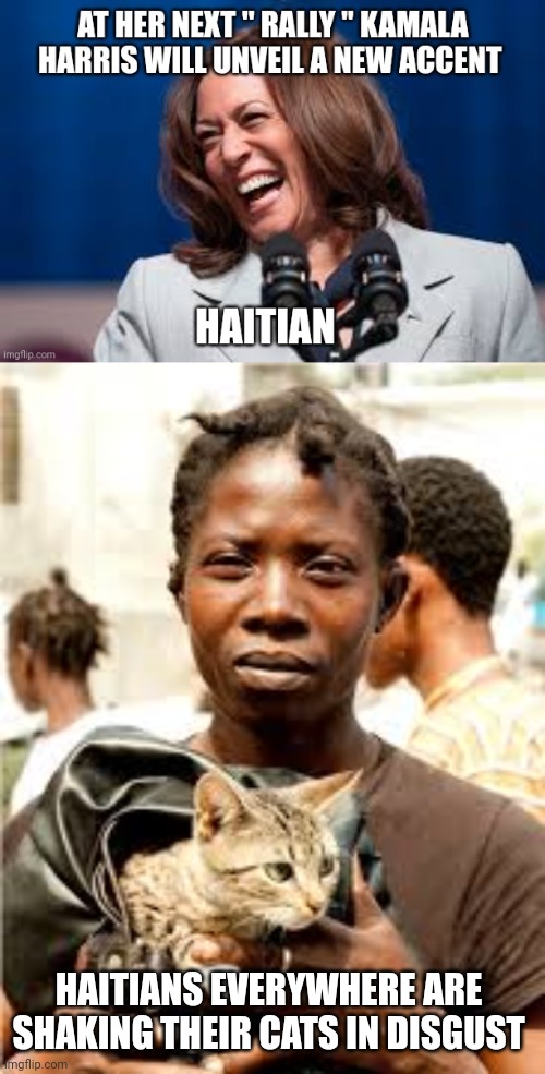 kamala harris meme | HAITIANS EVERYWHERE ARE SHAKING THEIR CATS IN DISGUST | image tagged in kamala harris | made w/ Imgflip meme maker