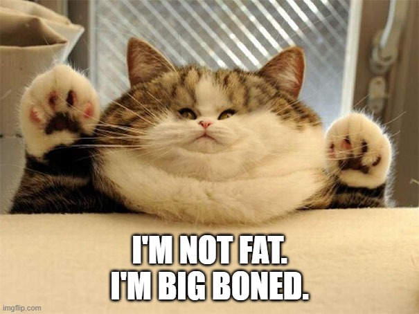 memes by Brad - The cat thinks she's big boned, not fat | I'M NOT FAT. I'M BIG BONED. | image tagged in funny,cats,kitten,big cats,humor,funny cat memes | made w/ Imgflip meme maker