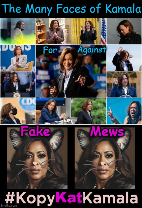 Likes to be on every side of every issue & changes with the wind! | The Many Faces of Kamala; For; Against; Fake       Mews; Kat | image tagged in kamala harris,too many,faces,issues,trust issues,political humor | made w/ Imgflip meme maker