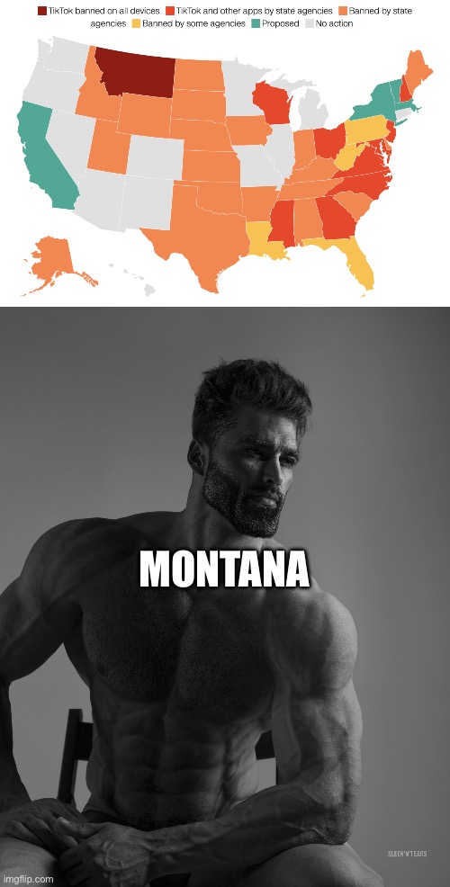 MONTANA | image tagged in giga chad | made w/ Imgflip meme maker