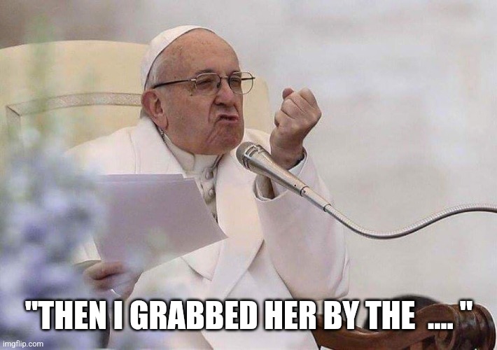 Pope punch | "THEN I GRABBED HER BY THE  .... " | image tagged in donald trump,grab them by the pussy,pope francis | made w/ Imgflip meme maker