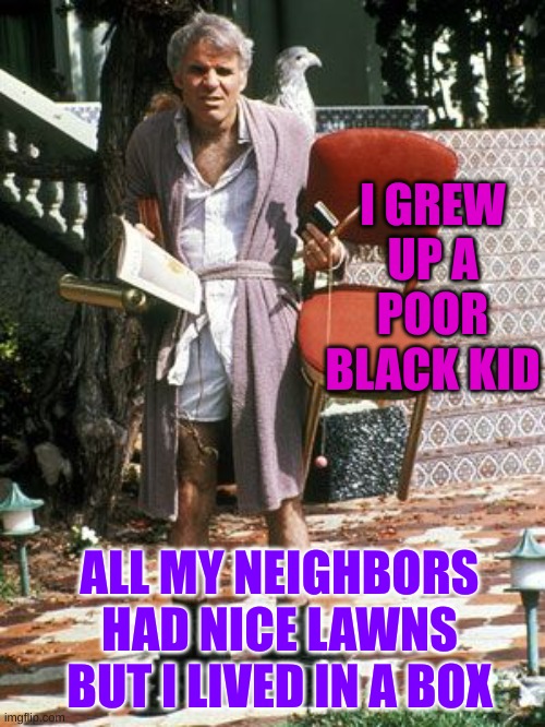 The Jerk- All I Need | I GREW UP A POOR BLACK KID ALL MY NEIGHBORS HAD NICE LAWNS BUT I LIVED IN A BOX | image tagged in the jerk- all i need | made w/ Imgflip meme maker