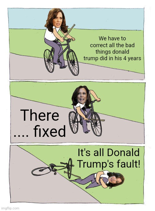 We did it, Joe! | We have to correct all the bad things donald trump did in his 4 years; There .... fixed; It's all Donald Trump's fault! | image tagged in donald trump,kamala harris | made w/ Imgflip meme maker