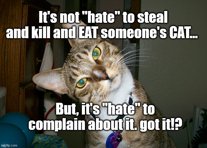 eating cats in Ohio | It's not "hate" to steal and kill and EAT someone's CAT... But, it's "hate" to complain about it. got it!? | image tagged in cat,illegal immigration | made w/ Imgflip meme maker