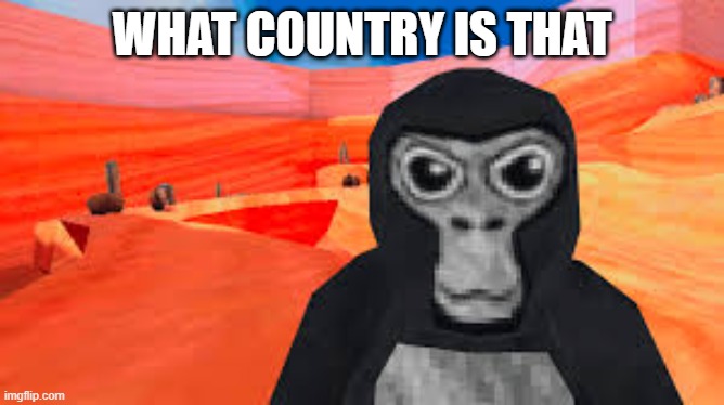 gorilla tag | WHAT COUNTRY IS THAT | image tagged in gorilla tag | made w/ Imgflip meme maker