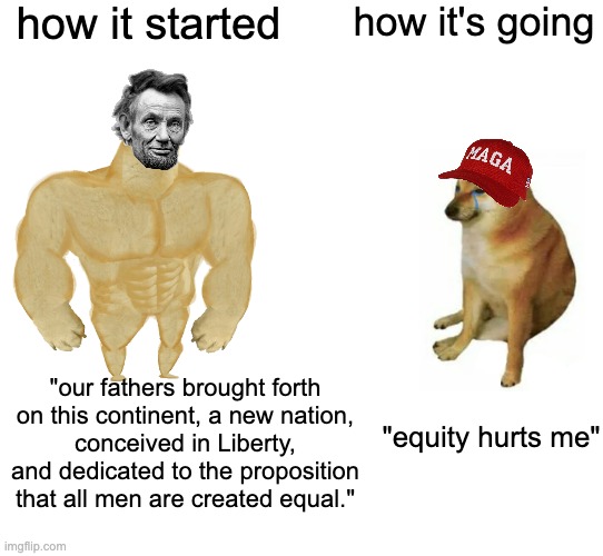 GOP progress report (1st of series) | how it started; how it's going; "our fathers brought forth
on this continent, a new nation,
conceived in Liberty,
and dedicated to the proposition
that all men are created equal."; "equity hurts me" | image tagged in buff doge vs cheems,equity,lincoln,gop,maga,how it started vs how it's going | made w/ Imgflip meme maker