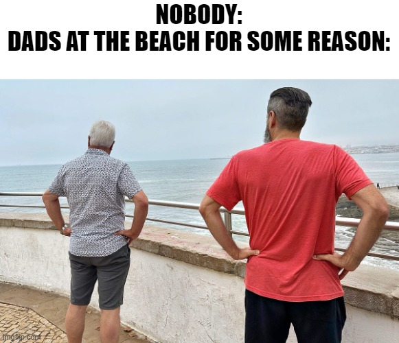 Why does this happen every time? | NOBODY:
DADS AT THE BEACH FOR SOME REASON: | image tagged in memes,dads,relatable | made w/ Imgflip meme maker