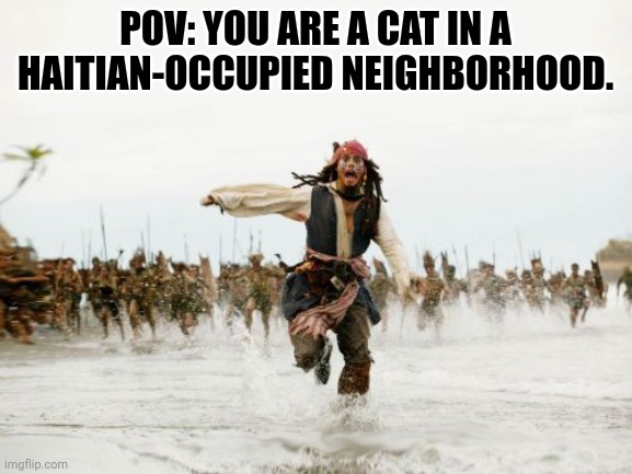 Jack Sparrow Being Chased Meme | POV: YOU ARE A CAT IN A HAITIAN-OCCUPIED NEIGHBORHOOD. | image tagged in memes,jack sparrow being chased | made w/ Imgflip meme maker