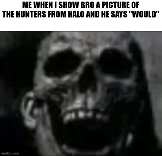 Is the wormussy worth it? | ME WHEN I SHOW BRO A PICTURE OF THE HUNTERS FROM HALO AND HE SAYS "WOULD" | image tagged in mr incredible skull,memes,gaming,halo,hunters | made w/ Imgflip meme maker