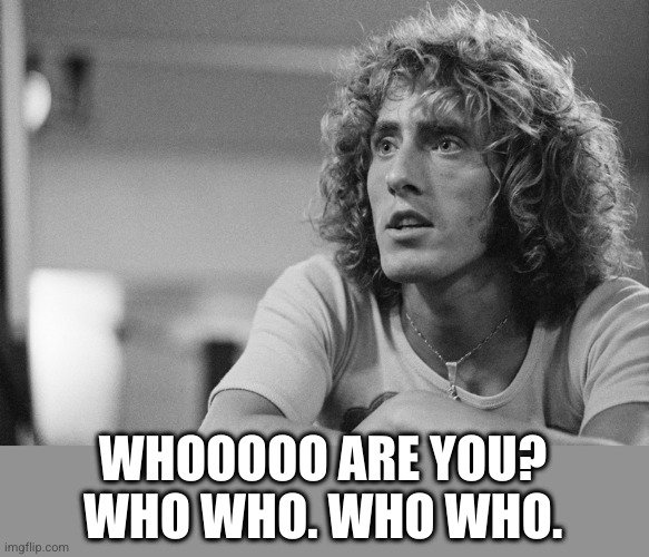 Roger Daltrey | WHOOOOO ARE YOU? WHO WHO. WHO WHO. | image tagged in roger daltrey | made w/ Imgflip meme maker