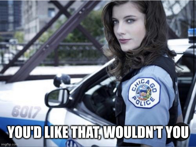 Hot Cop | YOU'D LIKE THAT, WOULDN'T YOU | image tagged in hot cop | made w/ Imgflip meme maker