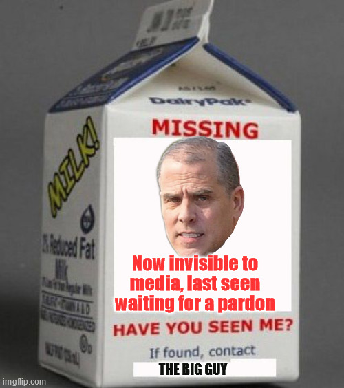 Milk carton | Now invisible to media, last seen waiting for a pardon; THE BIG GUY | image tagged in milk carton | made w/ Imgflip meme maker