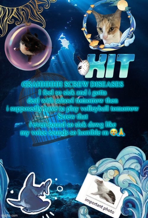 silly announcement template by asriel | GRAHHHHH SCREW DISEASES
I feel so sick and i gotta deal with school tomorrow then i supposedly have to play volleyball tomorrow
Screw that
i even sound so sick dawg like my voice sounds so horrible rn 😭🙏 | image tagged in silly announcement template by asriel | made w/ Imgflip meme maker