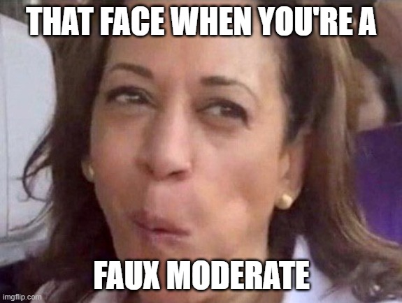 Even Bernie Sanders Knows her true colors | THAT FACE WHEN YOU'RE A; FAUX MODERATE | image tagged in kamala harris | made w/ Imgflip meme maker