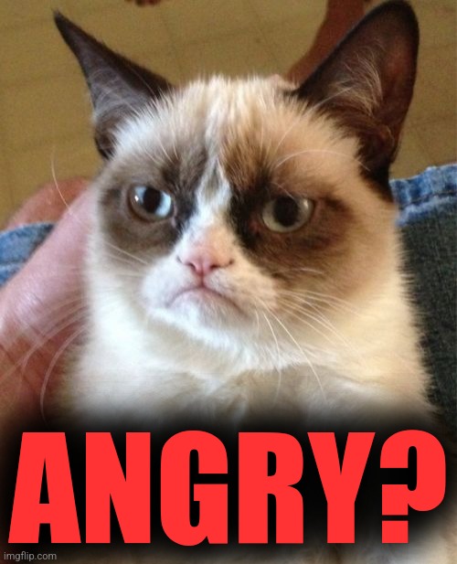 Grumpy Cat Meme | ANGRY? | image tagged in memes,grumpy cat | made w/ Imgflip meme maker