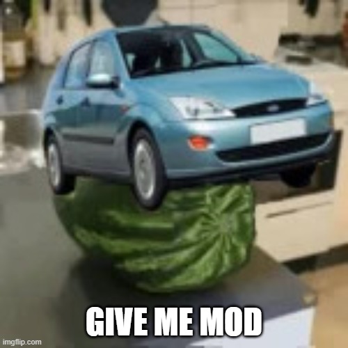 FocusMelon | GIVE ME MOD | image tagged in focusmelon | made w/ Imgflip meme maker