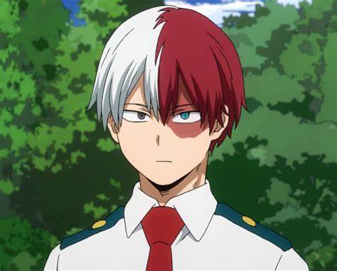 Todoroki Shoto Blank Meme Template