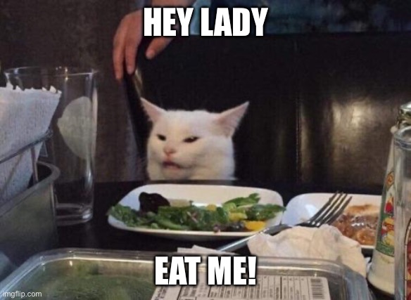 Salad cat | HEY LADY EAT ME! | image tagged in salad cat | made w/ Imgflip meme maker