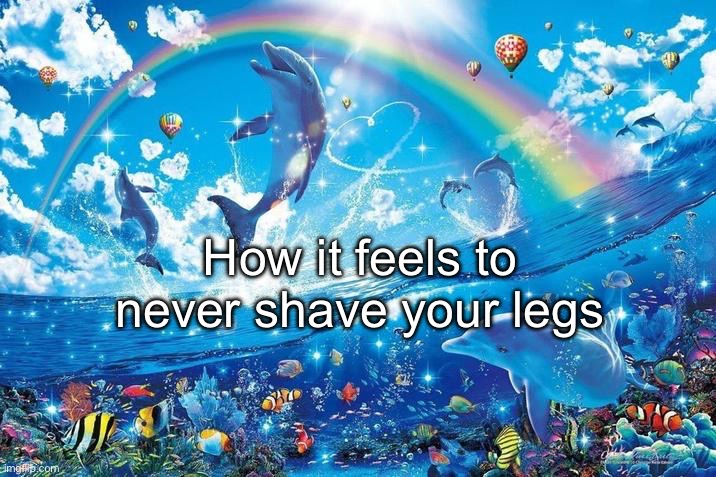 “Men” here are weirdos | How it feels to never shave your legs | image tagged in happy dolphin rainbow | made w/ Imgflip meme maker