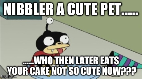 Nibbler meme | NIBBLER A CUTE PET...... ......WHO THEN LATER EATS YOUR CAKE NOT SO CUTE NOW??? | image tagged in animals | made w/ Imgflip meme maker