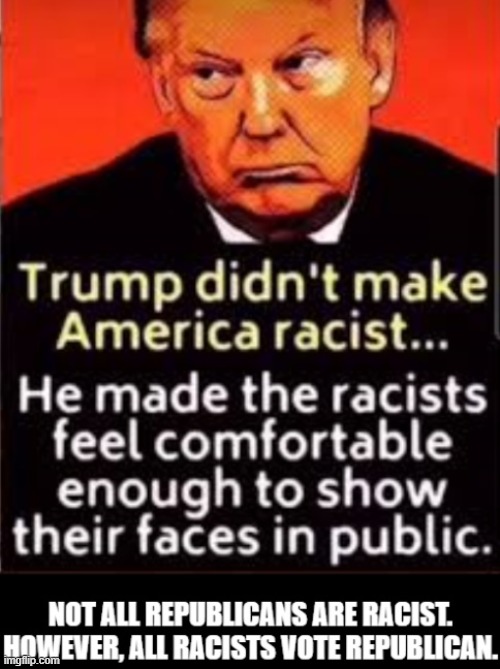 Racists Vote Republican | image tagged in racist,racism,conservatives,republicans,maga | made w/ Imgflip meme maker