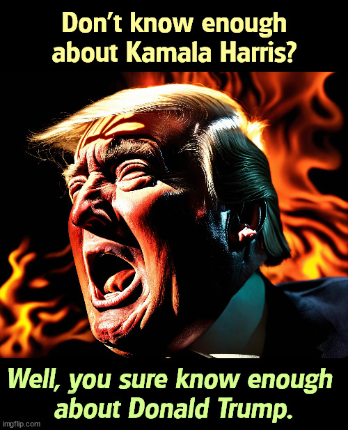 Don't know enough about Kamala Harris? Well, you sure know enough 
about Donald Trump. | image tagged in kamala harris,donald trump,insane,senile,dementia,weird | made w/ Imgflip meme maker