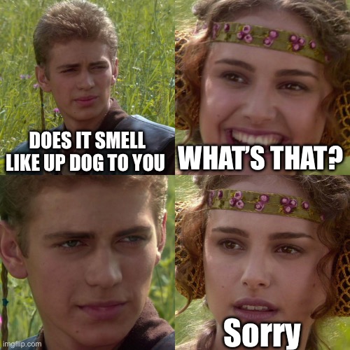 Sorry… | DOES IT SMELL LIKE UP DOG TO YOU; WHAT’S THAT? Sorry | image tagged in anakin padme 4 panel | made w/ Imgflip meme maker