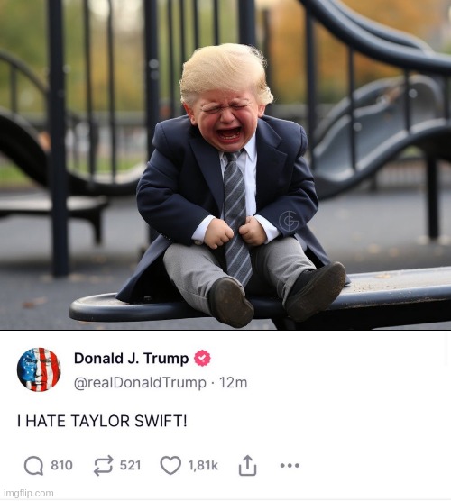 Don't let this crybaby near the nuclear codes | image tagged in donald trump,taylor swift | made w/ Imgflip meme maker