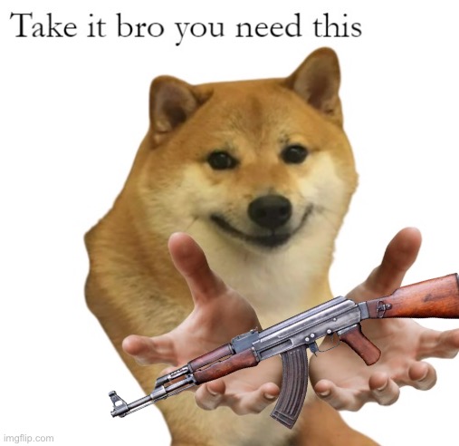 Take It Bro You Need This Blank | image tagged in take it bro you need this blank | made w/ Imgflip meme maker