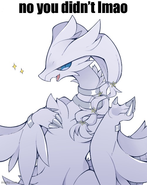 reshiram got Rockstar swag | no you didn’t lmao | image tagged in reshiram got rockstar swag | made w/ Imgflip meme maker