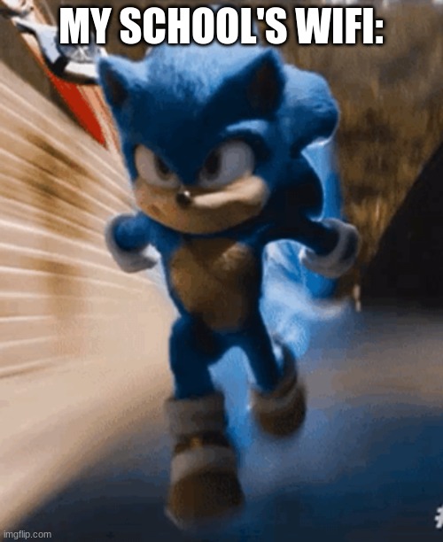 sonic movie running | MY SCHOOL'S WIFI: | image tagged in sonic movie running | made w/ Imgflip meme maker