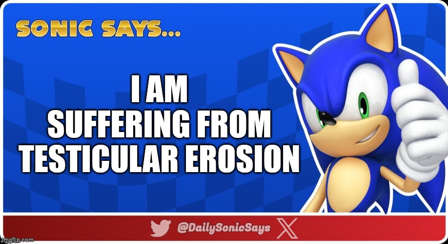 Sonic Says #38 | I AM SUFFERING FROM TESTICULAR EROSION | image tagged in sonic says v3 | made w/ Imgflip meme maker