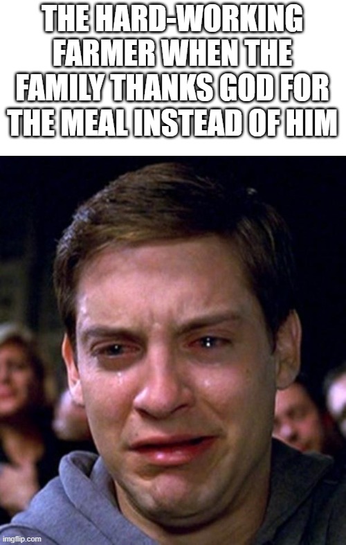 justice for farmers | THE HARD-WORKING FARMER WHEN THE FAMILY THANKS GOD FOR THE MEAL INSTEAD OF HIM | image tagged in crying peter parker,funny,christian,memes | made w/ Imgflip meme maker