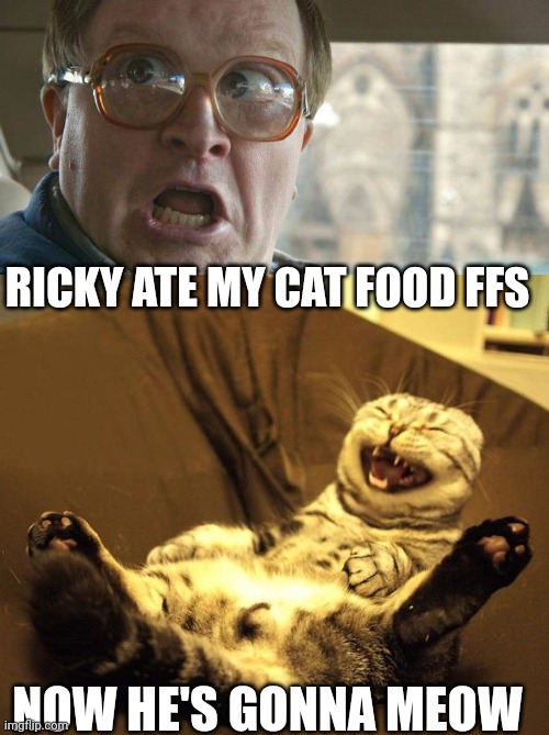 RICKY ATE MY CAT FOOD FFS; NOW HE'S GONNA MEOW | image tagged in bubbles,laughing cat | made w/ Imgflip meme maker