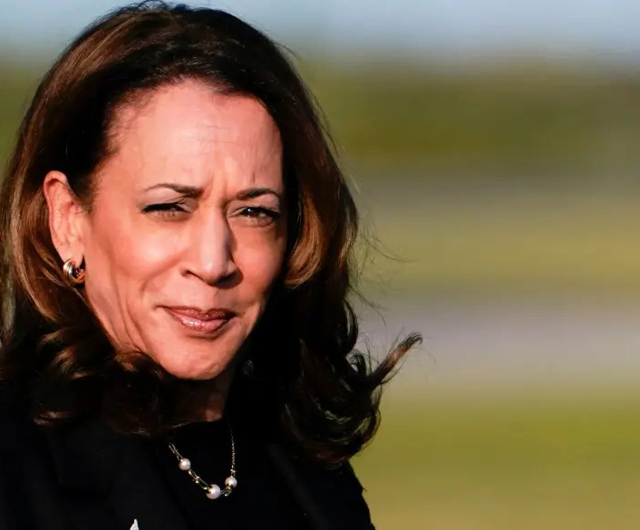 Kamala Harris Blank Meme Template