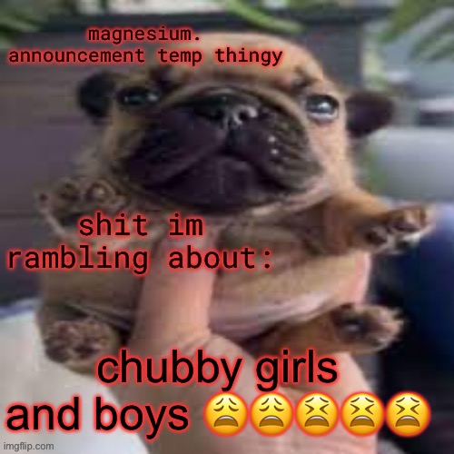 hate me for it idc | chubby girls and boys 😩😩😫😫😫 | image tagged in pug temp | made w/ Imgflip meme maker