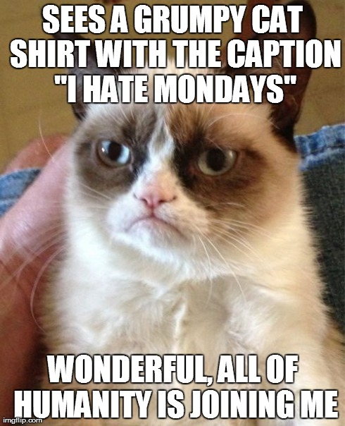 Grumpy Cat Meme | SEES A GRUMPY CAT SHIRT WITH THE CAPTION "I HATE MONDAYS" WONDERFUL, ALL OF HUMANITY IS JOINING ME | image tagged in memes,grumpy cat | made w/ Imgflip meme maker