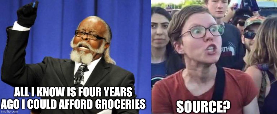 ALL I KNOW IS FOUR YEARS AGO I COULD AFFORD GROCERIES; SOURCE? | image tagged in memes,too damn high,angry liberal | made w/ Imgflip meme maker