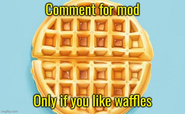 The.Waffle.House template | Comment for mod; Only if you like waffles | image tagged in waffle | made w/ Imgflip meme maker