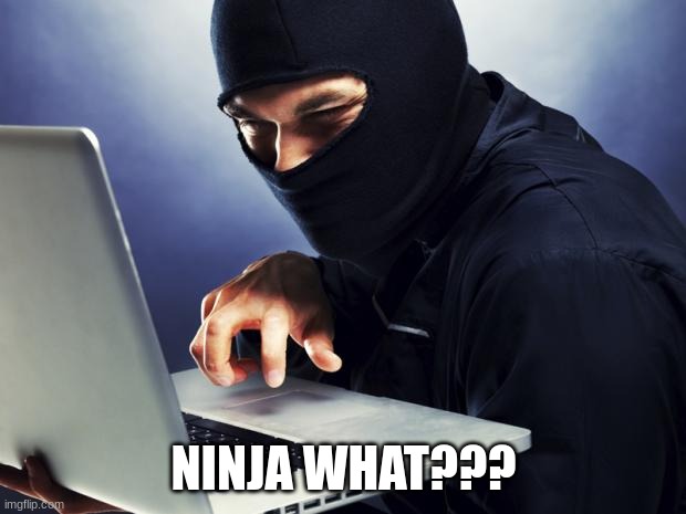 Ninja | NINJA WHAT??? | image tagged in ninja | made w/ Imgflip meme maker