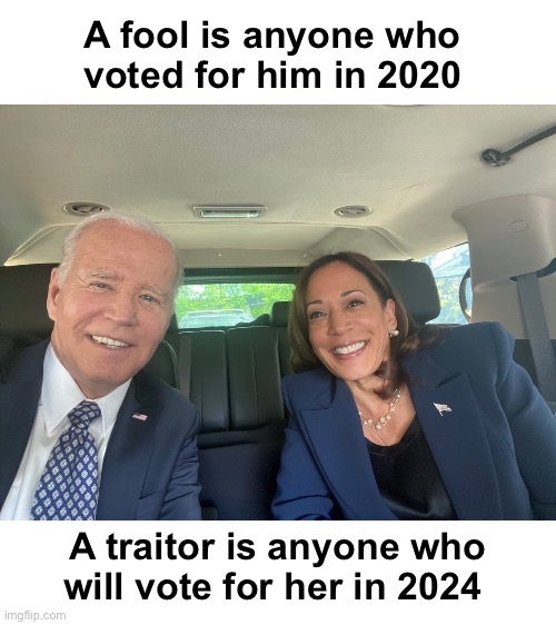 Look man, here’s the deal… | A fool is anyone who 
voted for him in 2020; A traitor is anyone who will vote for her in 2024 | image tagged in dumb dumbest | made w/ Imgflip meme maker