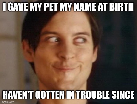 Wasn’t me | I GAVE MY PET MY NAME AT BIRTH; HAVEN’T GOTTEN IN TROUBLE SINCE | image tagged in memes,spiderman peter parker | made w/ Imgflip meme maker