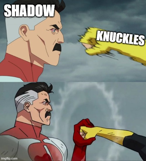 and then he breaks his hand | SHADOW; KNUCKLES | image tagged in man stopping punch,shadow the hedgehog,knuckles,sonic the hedgehog,movie,sega | made w/ Imgflip meme maker