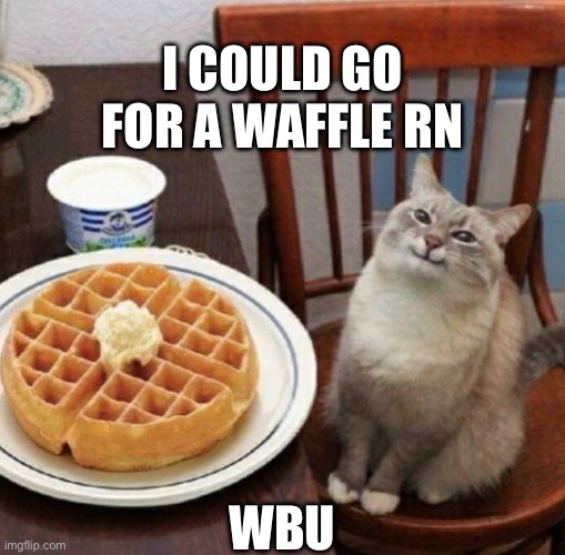 cute cat btw | I COULD GO FOR A WAFFLE RN; WBU | image tagged in cat likes their waffle | made w/ Imgflip meme maker