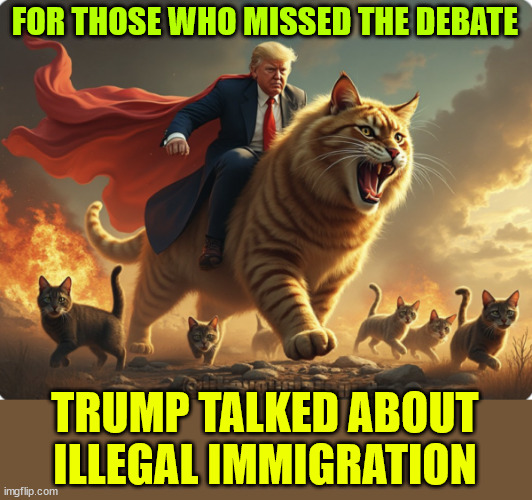 FOR THOSE WHO MISSED THE DEBATE TRUMP TALKED ABOUT ILLEGAL IMMIGRATION | made w/ Imgflip meme maker